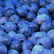 Load image into Gallery viewer, Blueberry Crumble
